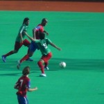 Criollos