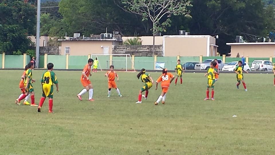 Sin cobrar árbitros de la Liga del Este