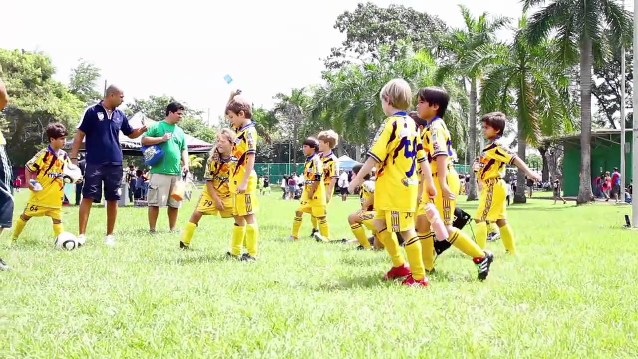 Se cocina nueva liga de inferiores