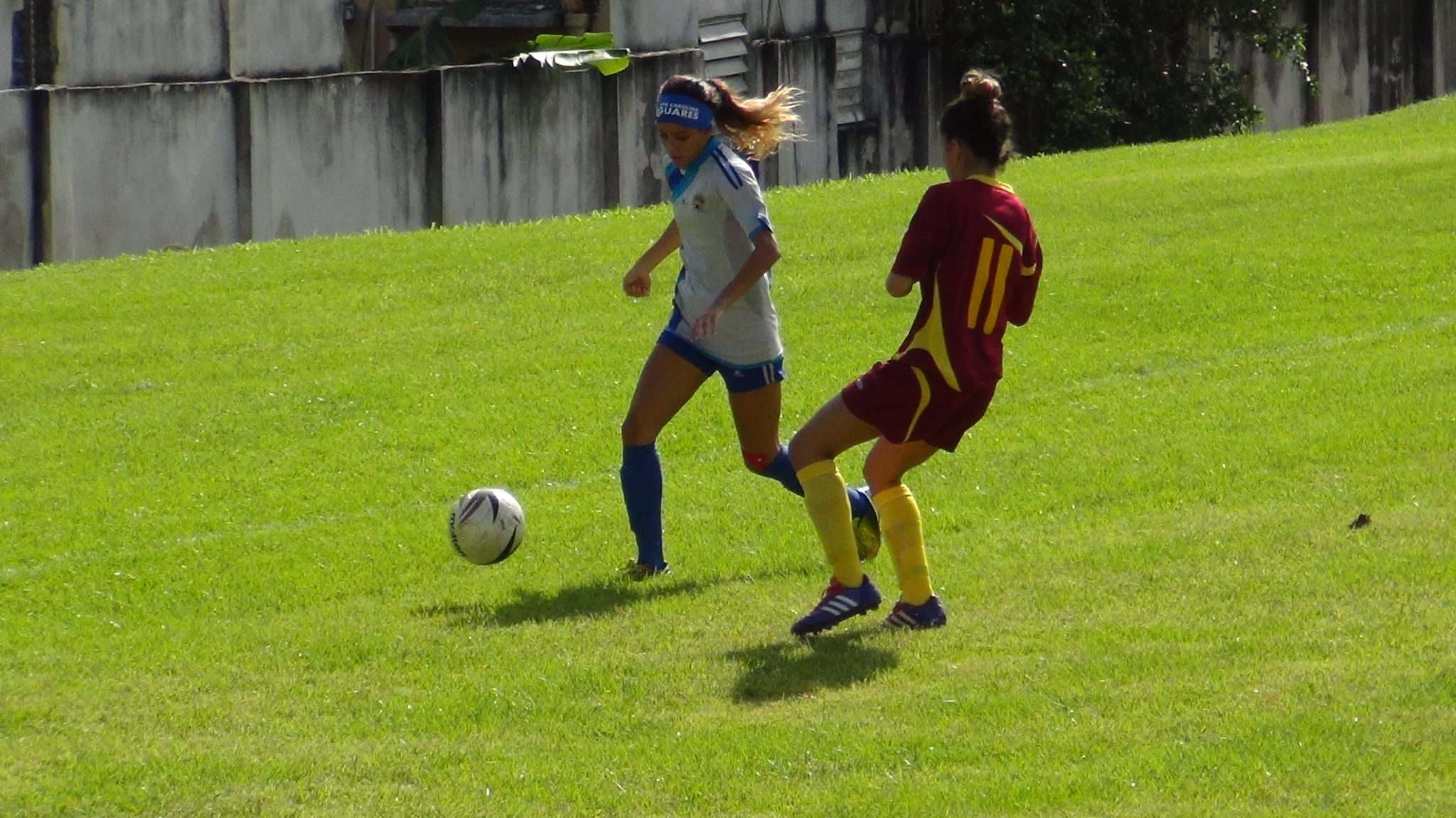 Jaguares se imponen sobre las delfines