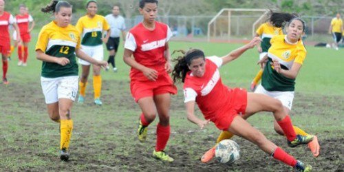 A quién velar en el torneo de la LAI