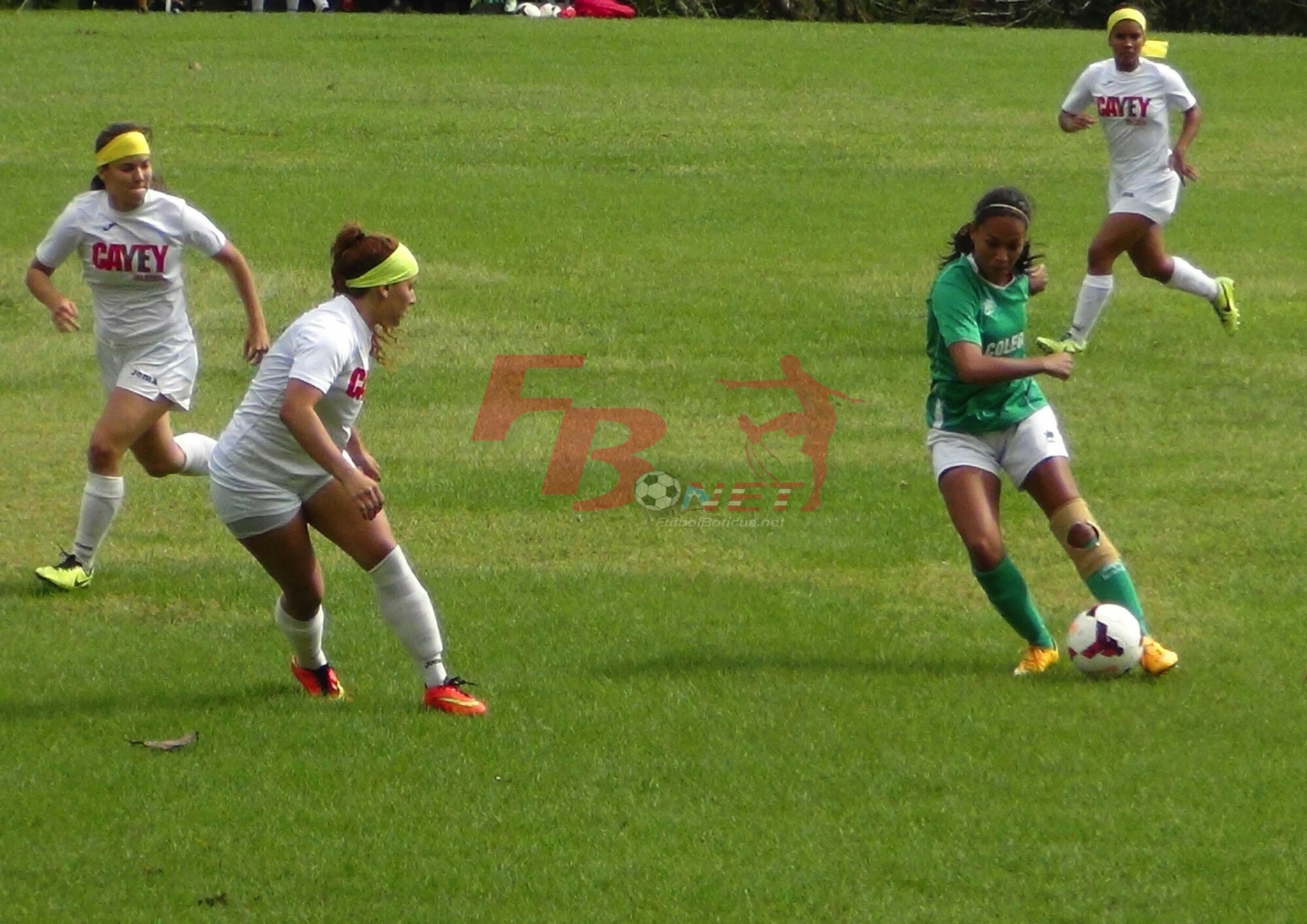 Dividen honores Cayey y Mayagüez