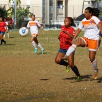 wpid-carile4.jpg