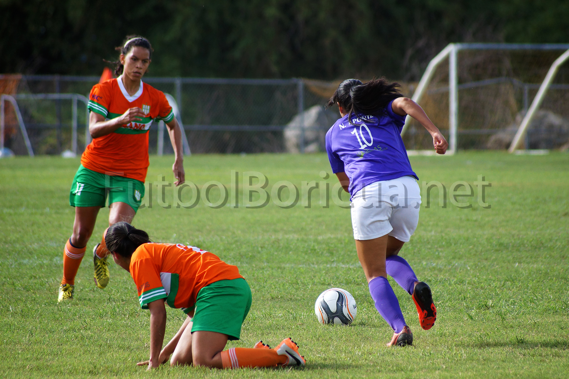 Concluye con éxito la primera jornada de la PRSL