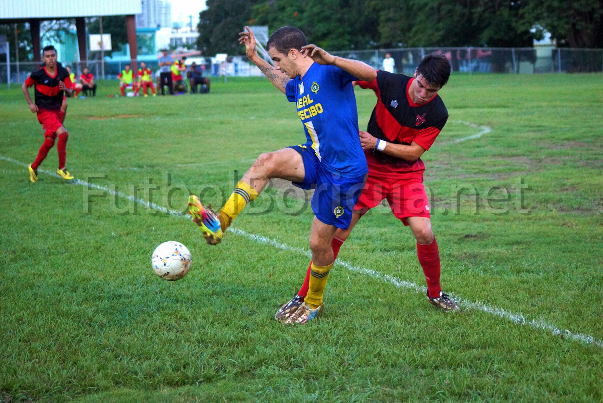 Spartans se lleva los tres puntos ante un Leal Arecibo superior
