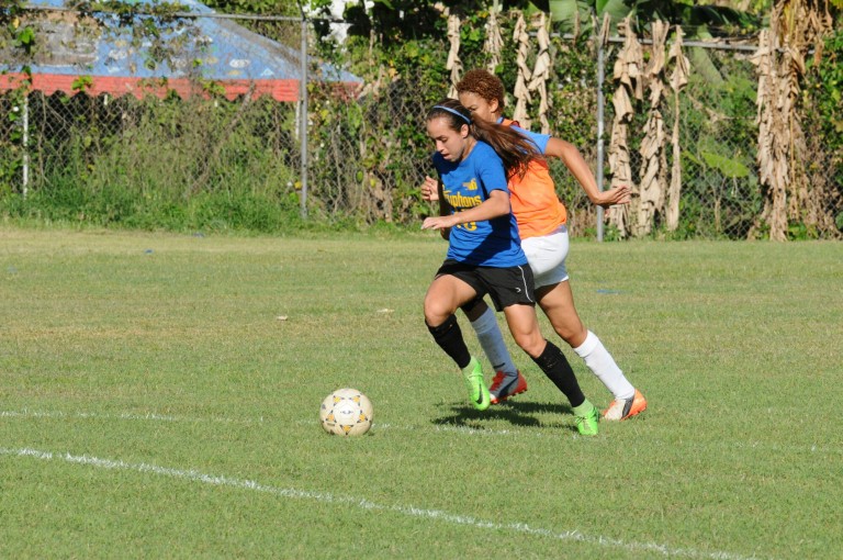 La LAI espera terminar el martes próximo los cruces