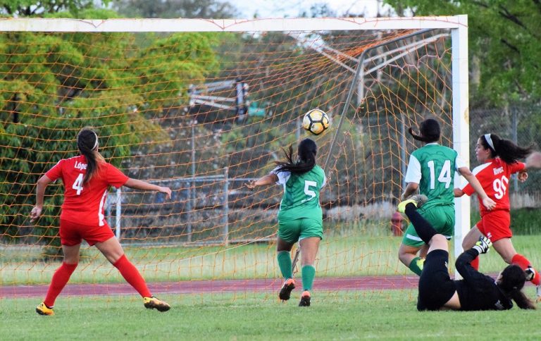 Lejos el comienzo de la LAI