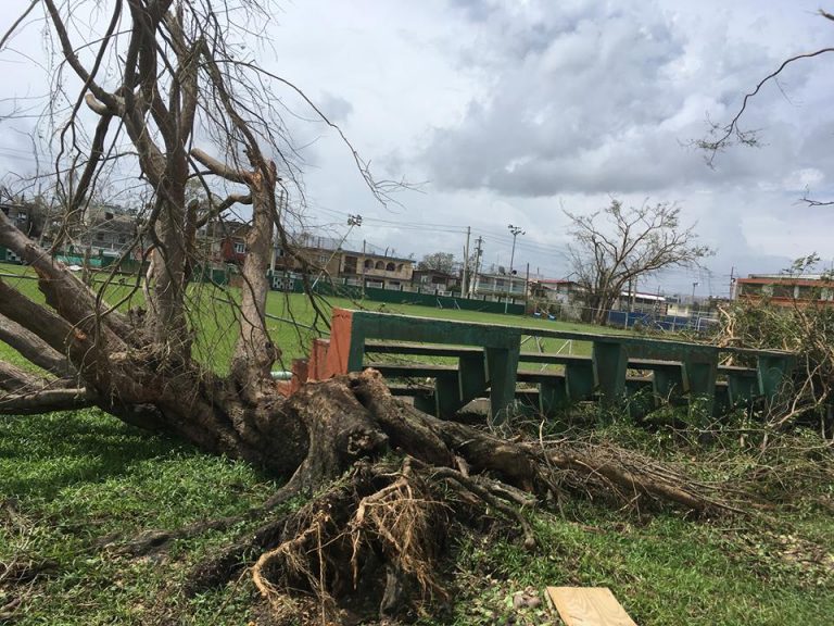 Reanudarán el Torneo Corporativo 2017