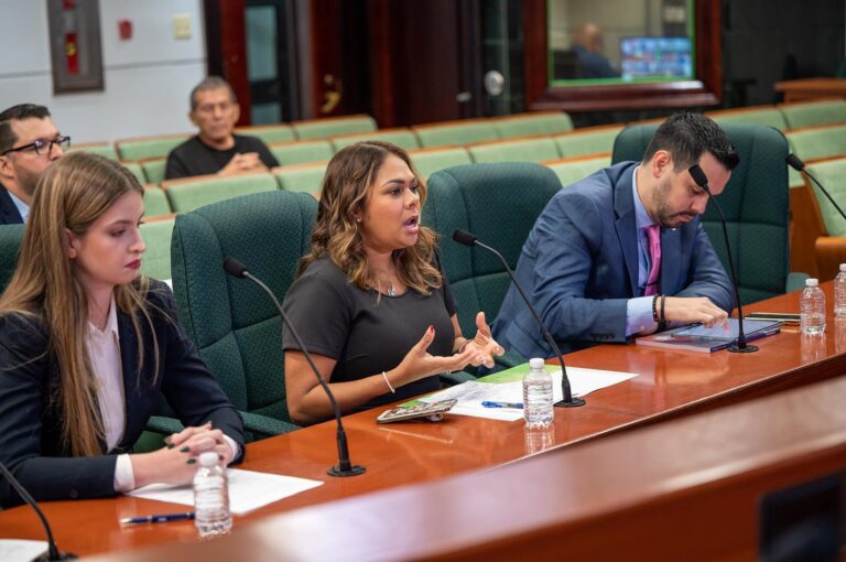 Procuradora de las Mujeres: «Los estatutos discriminan contra las mujeres»