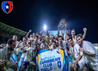 ¿Y que pasó con La PR profesional?