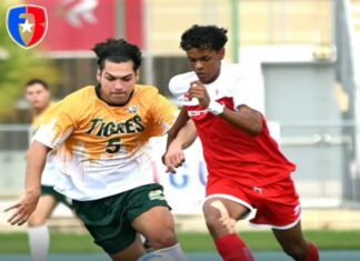 Tarzanes del Colegio y Taínos de la UAGM luchan por primera posición