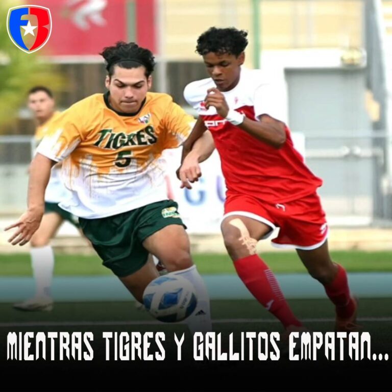 Tarzanes del Colegio y Taínos de la UAGM luchan por primera posición
