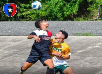 Los Tigres se mantienen líderes y Gallitos luchan por segundo puesto