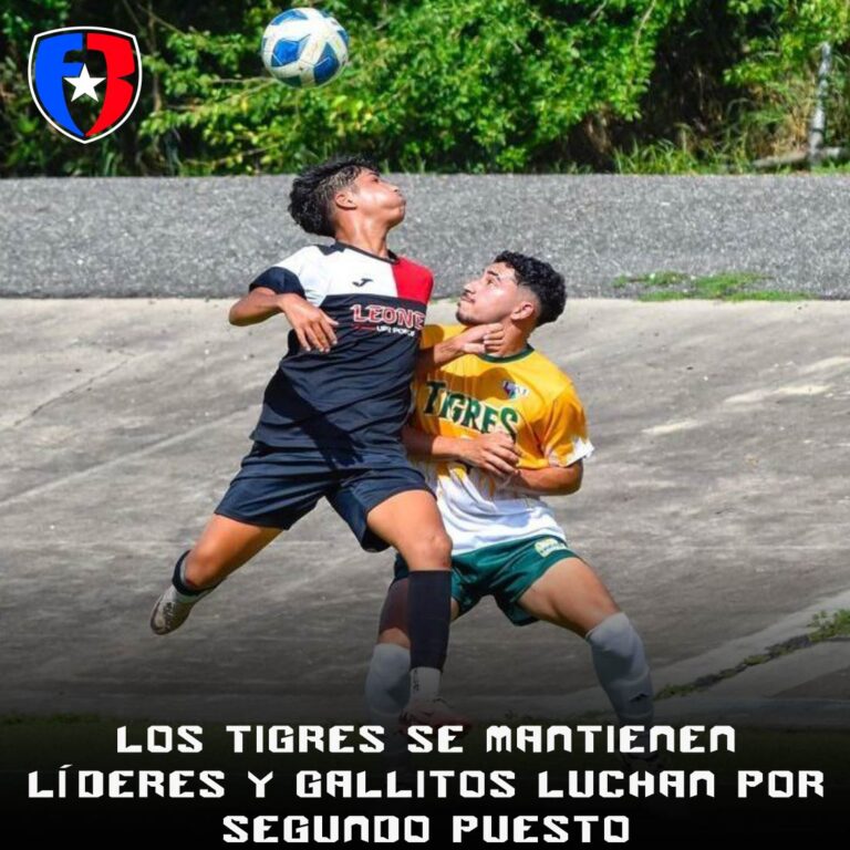Los Tigres se mantienen líderes y Gallitos luchan por segundo puesto