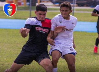 Leones y Delfines luchan mientras los Tarzanes se quedan con la punta