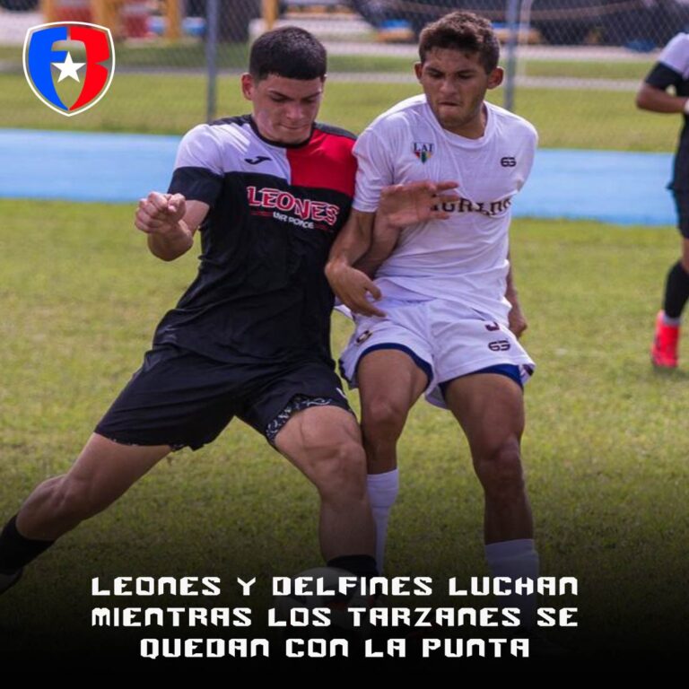 Leones y Delfines luchan mientras los Tarzanes se quedan con la punta