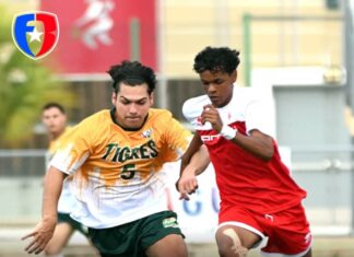 Gallitos y Tigres protagonizarán la Final de la LAI